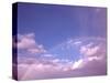 Rainbow Over Lamberts Bay, South Africa-Claudia Adams-Stretched Canvas