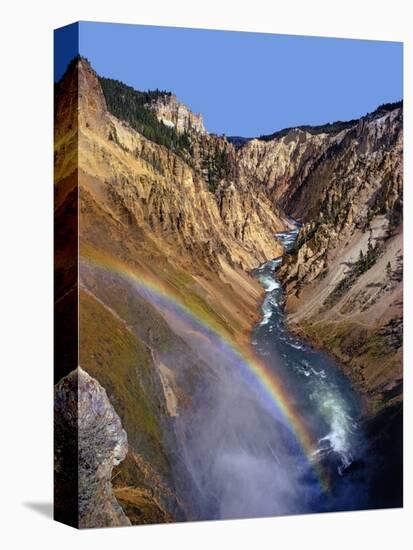 Rainbow over Lower Yellowstone Falls-James Randklev-Stretched Canvas