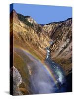 Rainbow over Lower Yellowstone Falls-James Randklev-Stretched Canvas