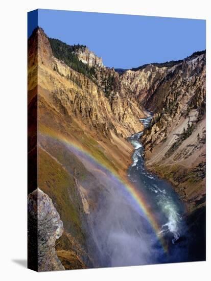 Rainbow over Lower Yellowstone Falls-James Randklev-Stretched Canvas