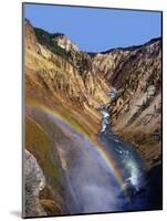 Rainbow over Lower Yellowstone Falls-James Randklev-Mounted Photographic Print