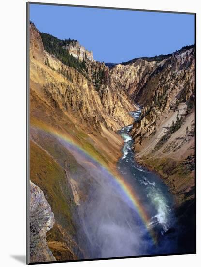 Rainbow over Lower Yellowstone Falls-James Randklev-Mounted Photographic Print