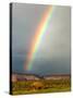 Rainbow over Navajo Hogan, Monument Valley Navajo Tribal Park, Utah, USA-Charles Crust-Stretched Canvas