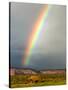 Rainbow over Navajo Hogan, Monument Valley Navajo Tribal Park, Utah, USA-Charles Crust-Stretched Canvas