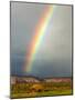 Rainbow over Navajo Hogan, Monument Valley Navajo Tribal Park, Utah, USA-Charles Crust-Mounted Photographic Print