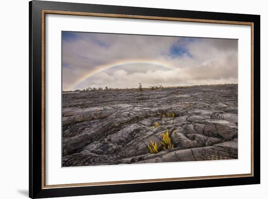 Rainbow over Old Lava Field, Hawaii Volcanoes NP, Hawaii, USA-Jaynes Gallery-Framed Photographic Print
