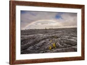 Rainbow over Old Lava Field, Hawaii Volcanoes NP, Hawaii, USA-Jaynes Gallery-Framed Photographic Print