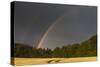 Rainbow over Ripening Cornfield-null-Stretched Canvas