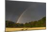 Rainbow over Ripening Cornfield-null-Mounted Photographic Print