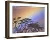 Rainbow over Rural Valley, Guacimal, Costa Rica-Michele Westmorland-Framed Photographic Print