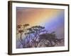 Rainbow over Rural Valley, Guacimal, Costa Rica-Michele Westmorland-Framed Photographic Print