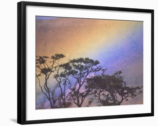 Rainbow over Rural Valley, Guacimal, Costa Rica-Michele Westmorland-Framed Photographic Print