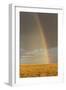 Rainbow over savannah habitat in evening sunlight, Masai Mara National Reserve, Kenya, August-Bernd Rohrschneider-Framed Photographic Print