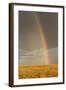 Rainbow over savannah habitat in evening sunlight, Masai Mara National Reserve, Kenya, August-Bernd Rohrschneider-Framed Photographic Print