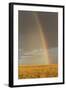 Rainbow over savannah habitat in evening sunlight, Masai Mara National Reserve, Kenya, August-Bernd Rohrschneider-Framed Photographic Print