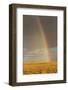 Rainbow over savannah habitat in evening sunlight, Masai Mara National Reserve, Kenya, August-Bernd Rohrschneider-Framed Photographic Print