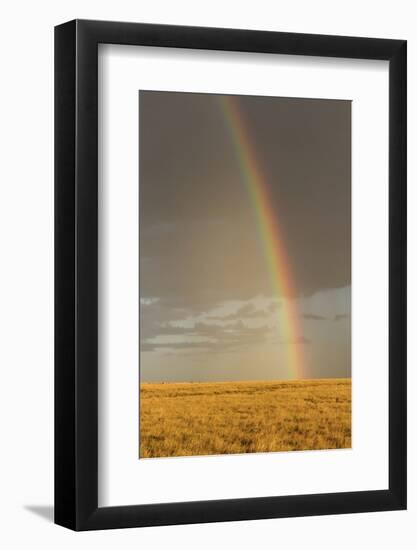 Rainbow over savannah habitat in evening sunlight, Masai Mara National Reserve, Kenya, August-Bernd Rohrschneider-Framed Photographic Print