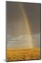 Rainbow over savannah habitat in evening sunlight, Masai Mara National Reserve, Kenya, August-Bernd Rohrschneider-Mounted Photographic Print