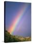 Rainbow Over Telluride, Colorado-David Carriere-Stretched Canvas