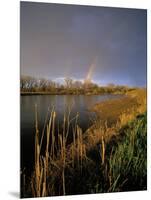 Rainbow over the North Platte River, Nebraska, USA-Chuck Haney-Mounted Photographic Print