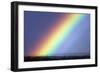 Rainbow Over Trees-Pekka Parviainen-Framed Photographic Print