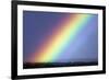 Rainbow Over Trees-Pekka Parviainen-Framed Photographic Print