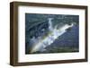 Rainbow over Victoria Falls, Zambezi River, Zimbabwe/Zambia-David Wall-Framed Photographic Print