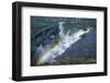 Rainbow over Victoria Falls, Zambezi River, Zimbabwe/Zambia-David Wall-Framed Photographic Print