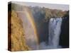 Rainbow Over Victoria Falls-null-Stretched Canvas