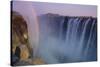 Rainbow over Victoria Falls-DLILLC-Stretched Canvas