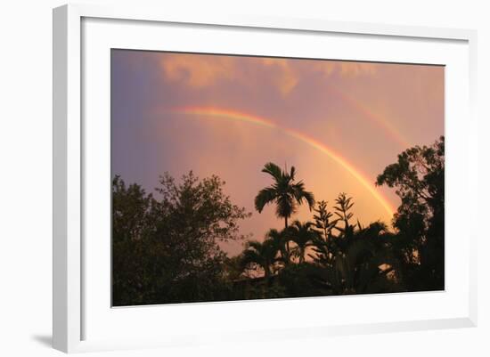 Rainbow Palms-Robert Goldwitz-Framed Photographic Print