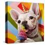 Rainbow Party-Lucia Heffernan-Stretched Canvas