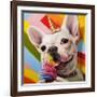 Rainbow Party-Lucia Heffernan-Framed Premium Giclee Print