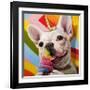 Rainbow Party-Lucia Heffernan-Framed Art Print