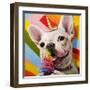 Rainbow Party-Lucia Heffernan-Framed Art Print