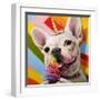 Rainbow Party-Lucia Heffernan-Framed Art Print