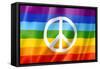 Rainbow Peace Flag-daboost-Framed Stretched Canvas