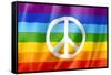 Rainbow Peace Flag-daboost-Framed Stretched Canvas