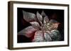 Rainbow Poinsettia For My Darling-Joy Lions-Framed Giclee Print