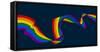 Rainbow Pride Peace Flag Design-ChrisGorgio-Framed Stretched Canvas