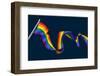 Rainbow Pride Peace Flag Woodcut Vintage Style-ChrisGorgio-Framed Photographic Print