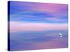 Rainbow Reflecting over Swan-Cindy Kassab-Stretched Canvas