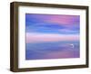 Rainbow Reflecting over Swan-Cindy Kassab-Framed Photographic Print