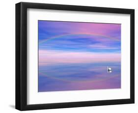 Rainbow Reflecting over Swan-Cindy Kassab-Framed Photographic Print