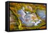 Rainbow Ridge Picture Agate-Darrell Gulin-Framed Stretched Canvas