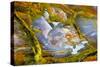 Rainbow Ridge Picture Agate-Darrell Gulin-Stretched Canvas