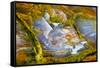 Rainbow Ridge Picture Agate-Darrell Gulin-Framed Stretched Canvas