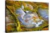 Rainbow Ridge Picture Agate-Darrell Gulin-Stretched Canvas