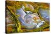 Rainbow Ridge Picture Agate-Darrell Gulin-Stretched Canvas