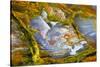 Rainbow Ridge Picture Agate-Darrell Gulin-Stretched Canvas